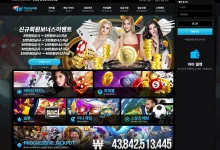 뉴헤븐카지노