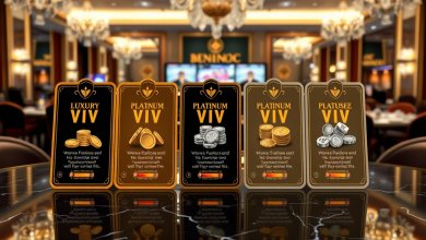 카지노 VIP 프로그램